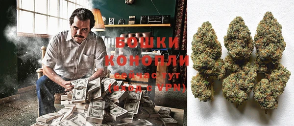 прущий лед Козловка