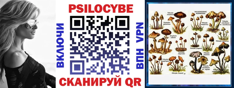 продажа наркотиков  Чаплыгин  мега как войти  Псилоцибиновые грибы MAGIC MUSHROOMS 